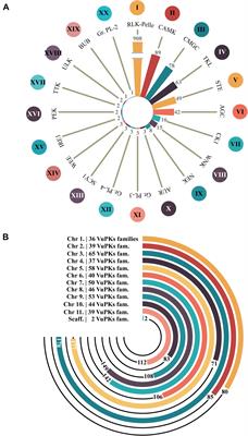 The Cowpea Kinome: Genomic and Transcriptomic Analysis Under Biotic and Abiotic Stresses